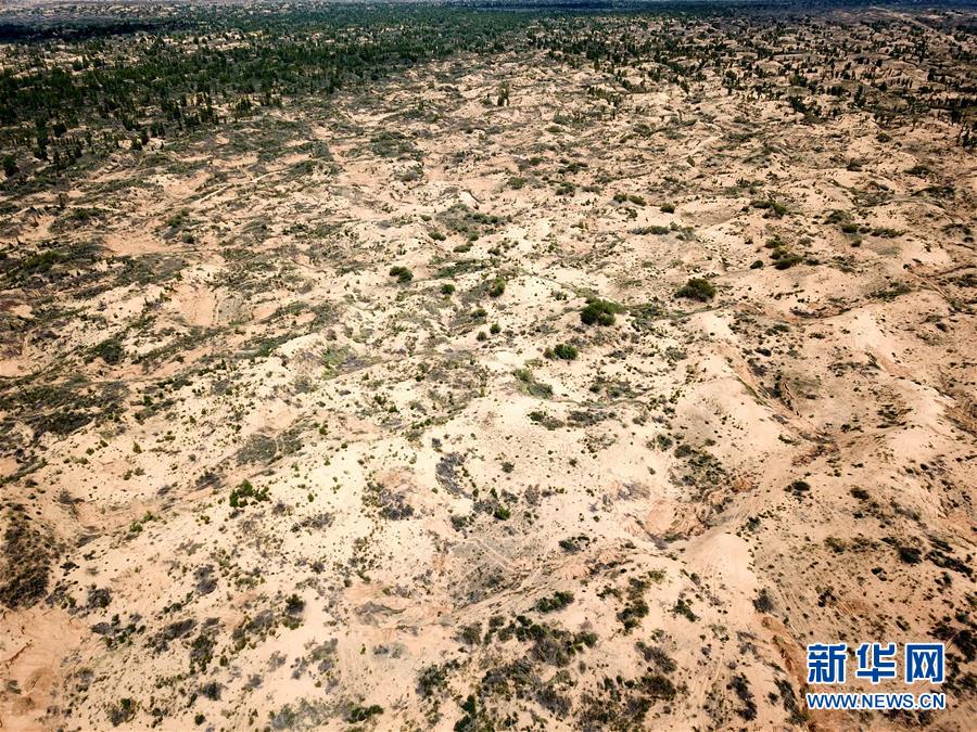 （圖文互動）（2）陜西榆林毀林建光伏電站追蹤：還有哪些疑團有待破解？ 