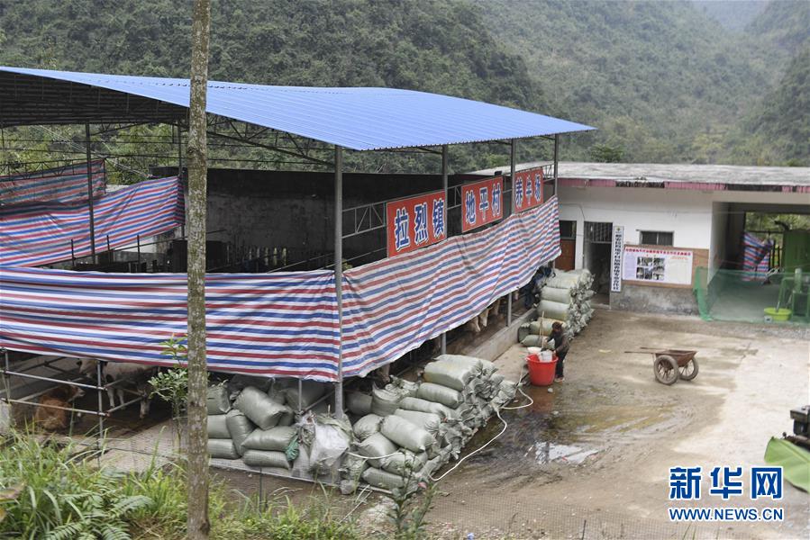 (脫貧攻堅(jiān)·圖文互動(dòng))(2)為了不讓一個(gè)貧困戶(hù)落下——追記廣西都安縣駐村第一書(shū)記黃景教