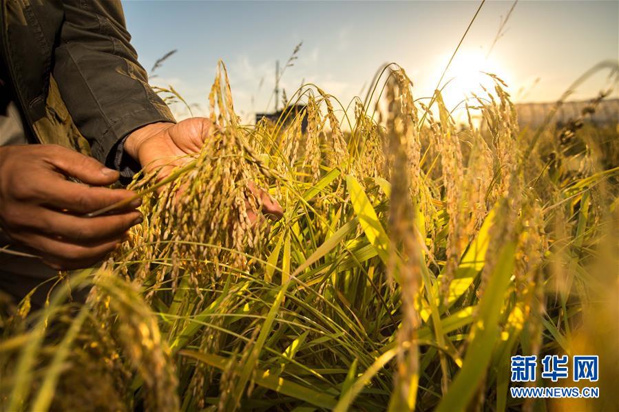 （新華全媒頭條&middot;圖文互動(dòng)）（5）上下同心再出發(fā)&mdash;&mdash;習(xí)近平總書記同出席2019年全國兩會(huì)人大代表、政協(xié)委員共商國是紀(jì)實(shí)