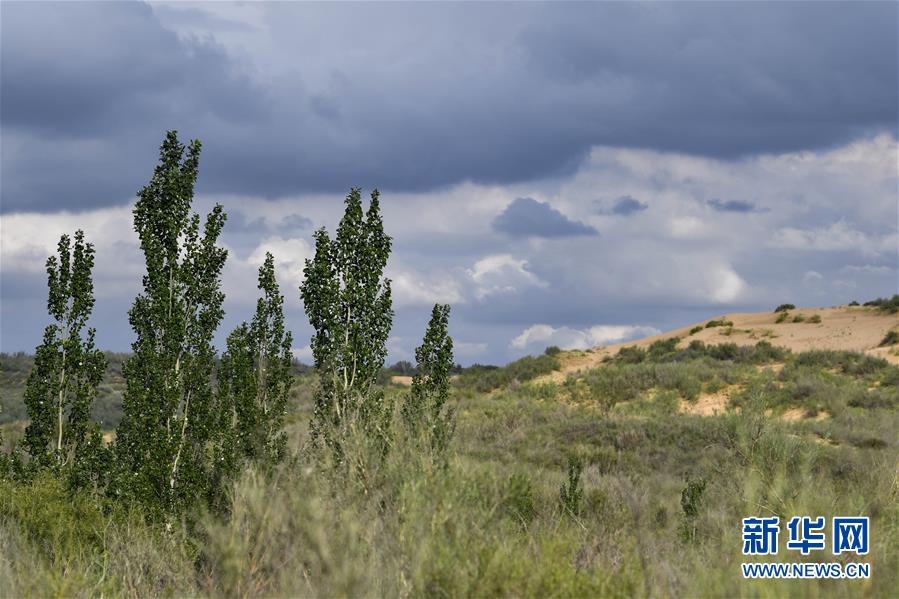 (在習(xí)近平新時代中國特色社會主義思想指引下——新時代新作為新篇章·總書記關(guān)切高質(zhì)量發(fā)展·圖文互動)(2)從一粒沙看不斷擴(kuò)大的中國綠色版圖