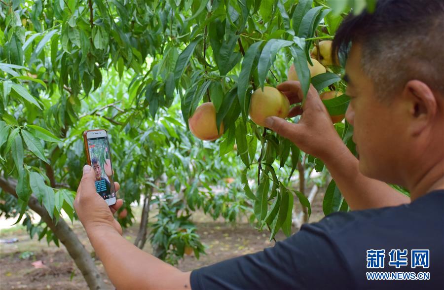 （在習近平新時代中國特色社會主義思想指引下&mdash;&mdash;新時代新作為新篇章&middot;總書記關切脫貧事&middot;決勝貧困&middot;圖文互動）（6）讓一方水土&ldquo;富養(yǎng)&rdquo;一方人&mdash;&mdash;扶貧特色產(chǎn)業(yè)惠及千家萬戶