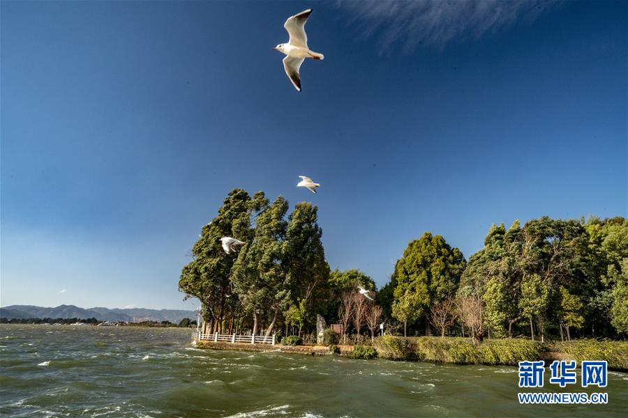 (圖文互動)(7)跨越發(fā)展起宏圖 信心滿懷著華章——習近平總書記考察云南回訪記