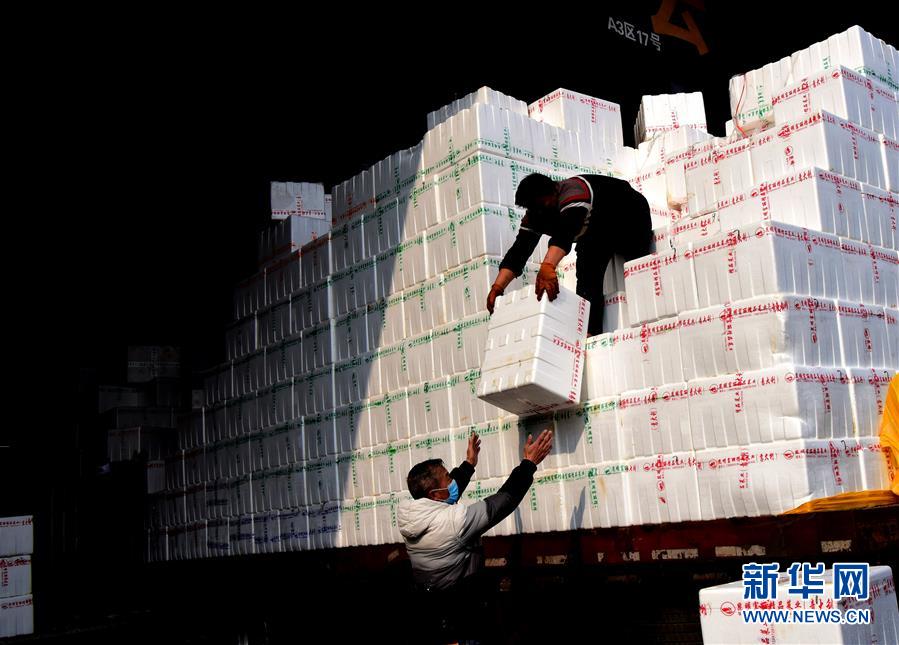 （聚焦疫情防控&middot;圖文互動）（4）吃的東西充足，做點花樣菜吧！&mdash;&mdash;中部地區(qū)最大農(nóng)產(chǎn)品批發(fā)市場見聞 