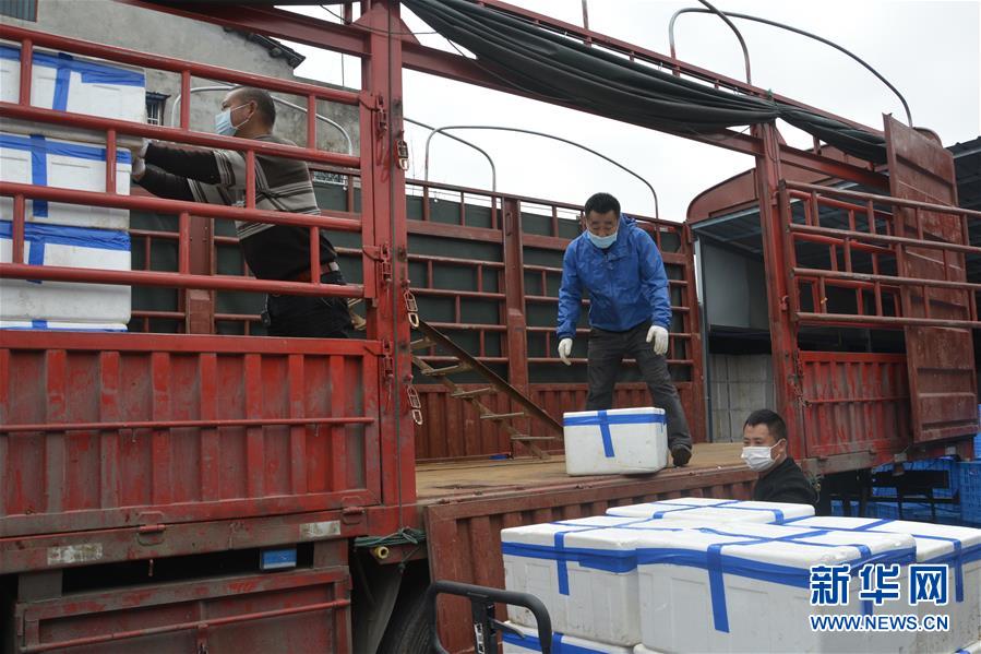 （做好六穩(wěn)工作 應(yīng)對復(fù)雜局面&middot;圖文互動）（3）穩(wěn)住&ldquo;菜籃子&rdquo; 守住&ldquo;好日子&rdquo;