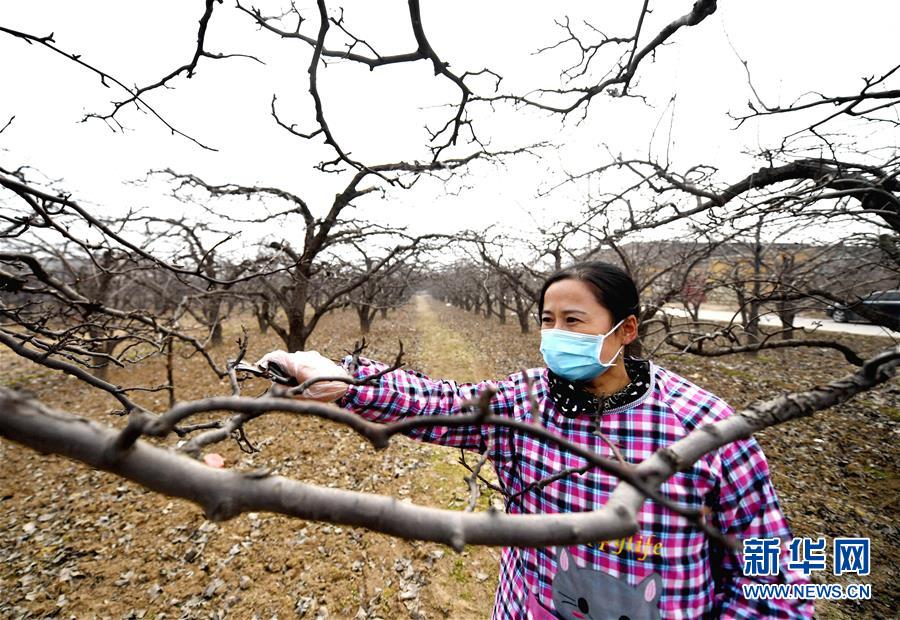 （聚焦疫情防控&middot;圖文互動）（3）農(nóng)民工返城：幾多憧憬幾許等待&mdash;&mdash;走進疫情下的河北勞務輸出專業(yè)村