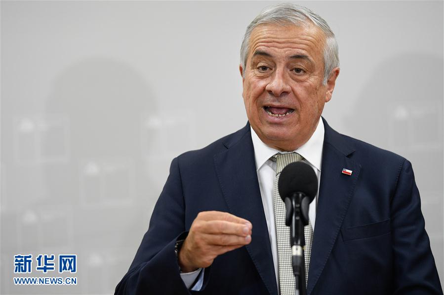 （國際&middot;圖文互動）智利衛(wèi)生部長表示將加強智中抗疫合作