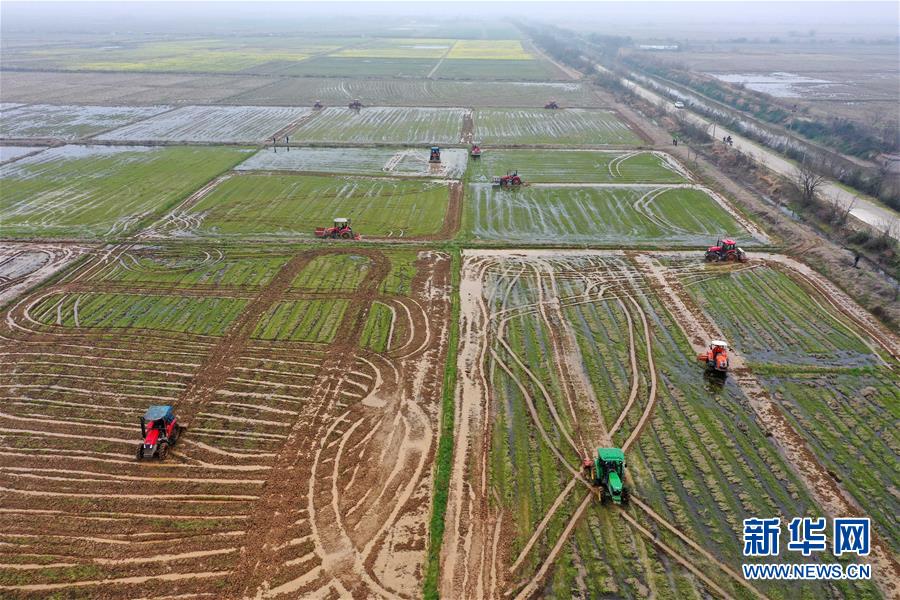 （抓好春耕備耕 穩(wěn)住農(nóng)業(yè)生產(chǎn)&middot;圖文互動(dòng)）（2）智能農(nóng)機(jī)、&ldquo;訂單&rdquo;服務(wù)、&ldquo;云端&rdquo;種菜&mdash;&mdash;來自江西的春耕&ldquo;新事&rdquo;