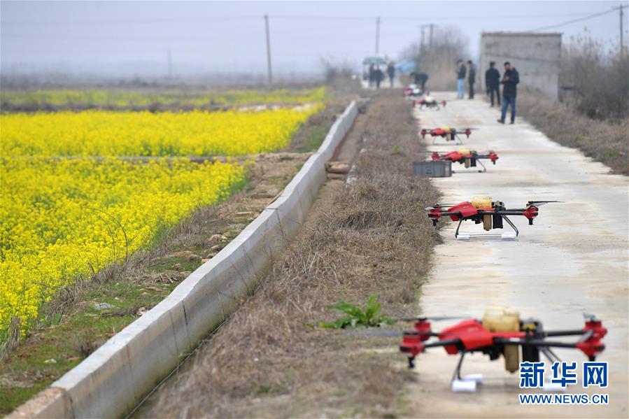 （抓好春耕備耕 穩(wěn)住農(nóng)業(yè)生產(chǎn)&middot;圖文互動(dòng)）（4）智能農(nóng)機(jī)、&ldquo;訂單&rdquo;服務(wù)、&ldquo;云端&rdquo;種菜&mdash;&mdash;來自江西的春耕&ldquo;新事&rdquo;