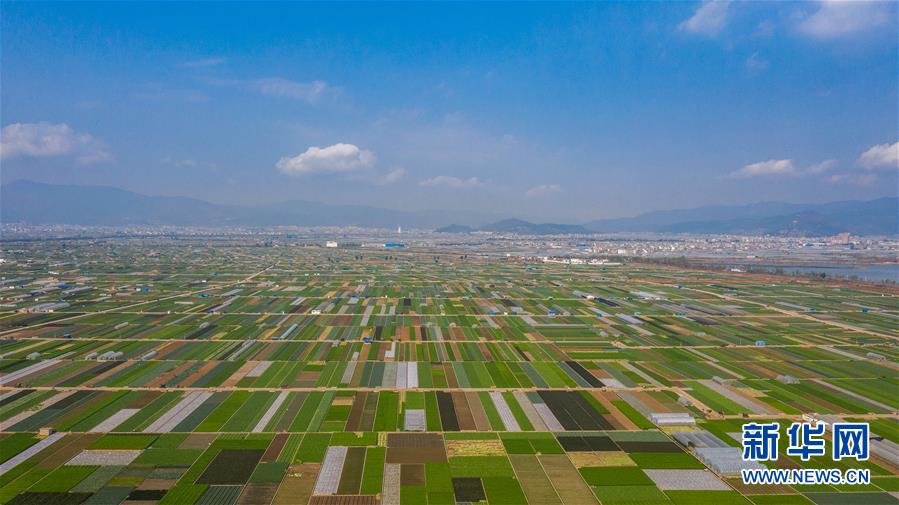 （抓好春耕備耕 穩(wěn)住農(nóng)業(yè)生產(chǎn)&middot;圖文互動(dòng)）（5）&ldquo;栽種的是菜苗，收獲的是希望&rdquo;&mdash;&mdash;云南蔬菜集散地通?？h春耕見聞 