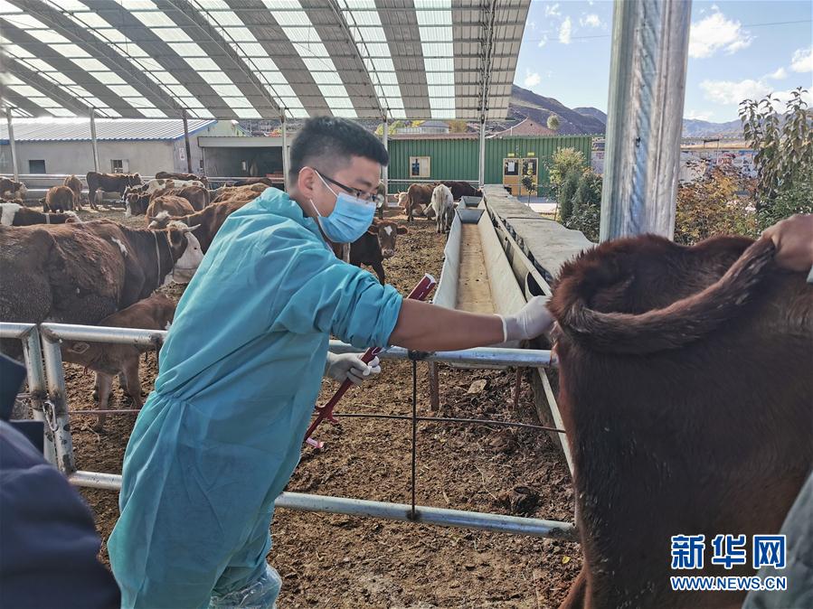 （決戰(zhàn)決勝脫貧攻堅(jiān)&middot;圖文互動(dòng)）（2）脫貧&ldquo;不暫停&rdquo; 服務(wù)&ldquo;不打烊&rdquo;&mdash;&mdash;天津通過&ldquo;云端&rdquo;幫扶為甘肅受援地區(qū)戰(zhàn)貧繼續(xù)助力