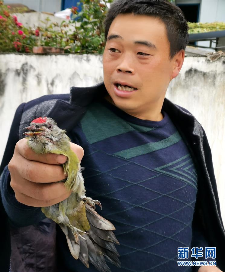 (圖文互動)(2)夜訪二郎山:中國最美景觀大道上的幸福煩惱