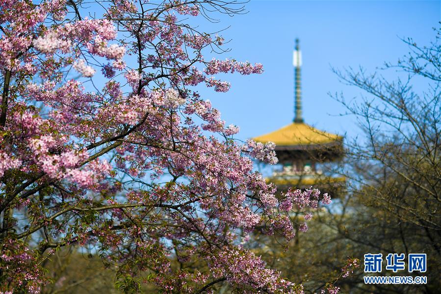 （新華全媒頭條&middot;圖文互動(dòng)）（4）青春的力量 時(shí)代的脊梁&mdash;&mdash;記抗疫一線的&ldquo;90后&rdquo;&ldquo;00后&rdquo;年輕人