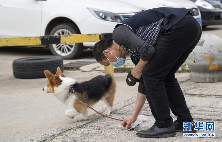 （聚焦疫情防控）（9）武漢：動(dòng)物醫(yī)院里的臨時(shí)&ldquo;奶爸&rdquo;