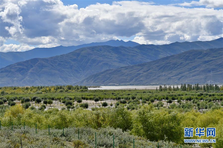 （圖文互動(dòng)）（4）&ldquo;今天的生活，就像夢(mèng)里夢(mèng)到那樣甜&rdquo;&mdash;&mdash;寫在西藏百萬農(nóng)奴解放61周年之際