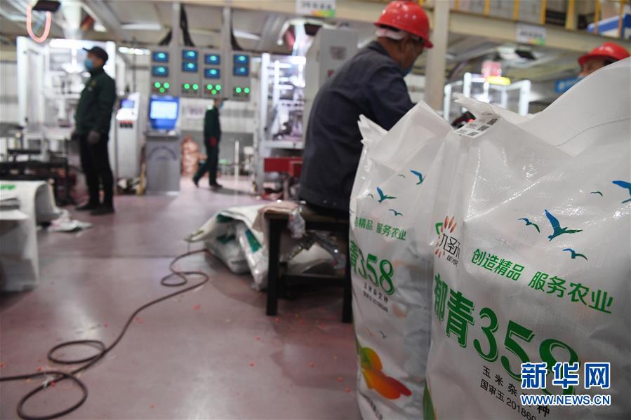 （抓好春耕備耕 穩(wěn)住農業(yè)生產&middot;圖文互動）（5）走向泥土是我們的終極夢想&mdash;&mdash;一粒種子的自述