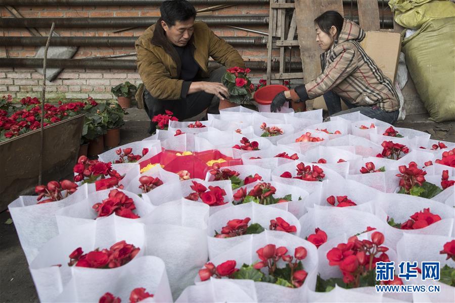 （在習(xí)近平新時(shí)代中國特色社會主義思想指引下&mdash;&mdash;新時(shí)代新作為新篇章&middot;習(xí)近平總書記關(guān)切事&middot;圖文互動）（1）希望的田野，希望的春天&mdash;&mdash;各地農(nóng)業(yè)生產(chǎn)新動態(tài)掃描