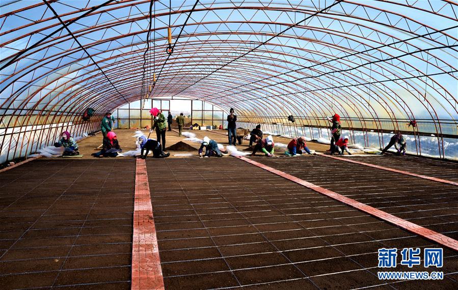（在習(xí)近平新時(shí)代中國特色社會主義思想指引下&mdash;&mdash;新時(shí)代新作為新篇章&middot;習(xí)近平總書記關(guān)切事&middot;圖文互動）（5）希望的田野，希望的春天&mdash;&mdash;各地農(nóng)業(yè)生產(chǎn)新動態(tài)掃描