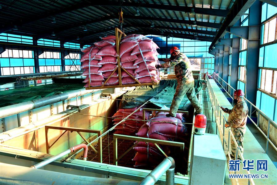 （在習(xí)近平新時(shí)代中國特色社會主義思想指引下&mdash;&mdash;新時(shí)代新作為新篇章&middot;習(xí)近平總書記關(guān)切事&middot;圖文互動）（6）希望的田野，希望的春天&mdash;&mdash;各地農(nóng)業(yè)生產(chǎn)新動態(tài)掃描