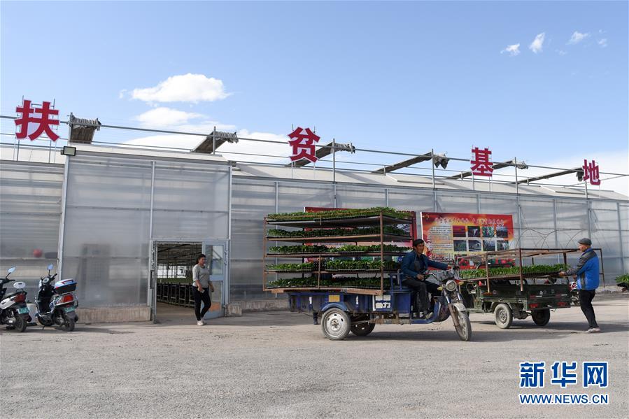 （決戰(zhàn)決勝脫貧攻堅(jiān)&middot;圖文互動）（9）決戰(zhàn)昆侖&mdash;&mdash;新疆聚焦10個(gè)未摘帽縣展開深度貧困攻堅(jiān)戰(zhàn) 