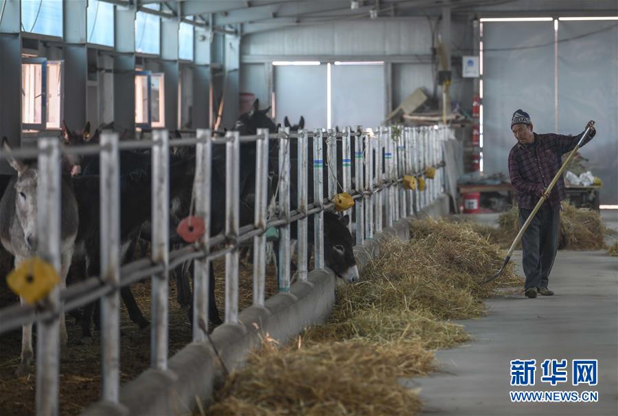 （決戰(zhàn)決勝脫貧攻堅(jiān)&middot;圖文互動）（12）決戰(zhàn)昆侖&mdash;&mdash;新疆聚焦10個(gè)未摘帽縣展開深度貧困攻堅(jiān)戰(zhàn) 