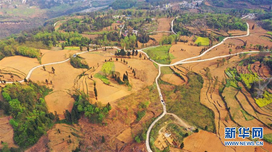 （決戰(zhàn)決勝脫貧攻堅(jiān)&middot;圖文互動(dòng)）（2）寄相思，償夙愿&mdash;&mdash;5封清明&ldquo;家書&rdquo;里的決戰(zhàn)決勝信念