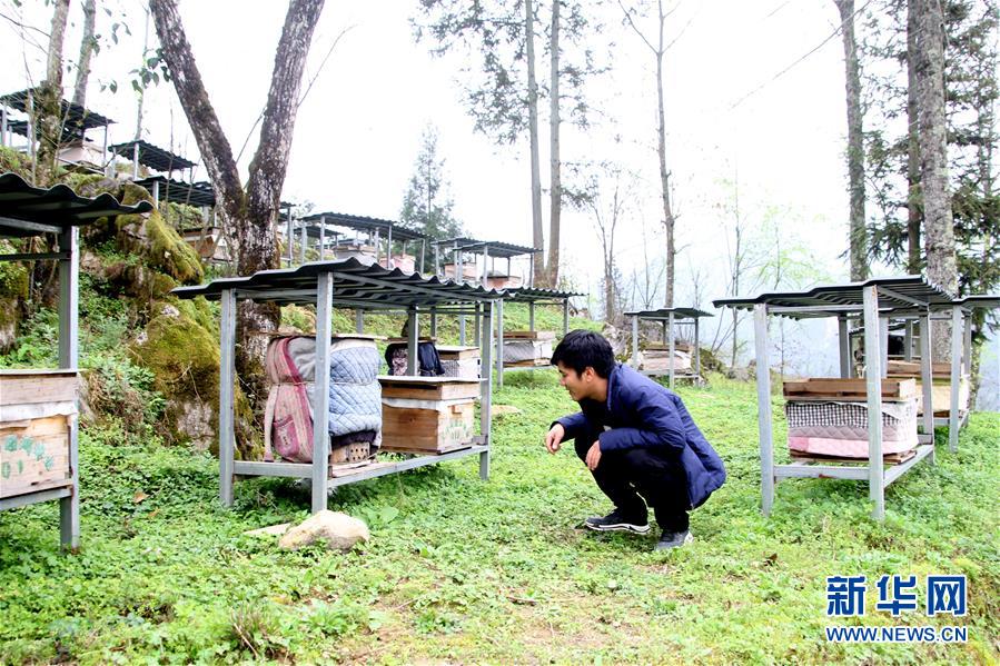 （決戰(zhàn)決勝脫貧攻堅(jiān)&middot;圖文互動(dòng)）（3）寄相思，償夙愿&mdash;&mdash;5封清明&ldquo;家書&rdquo;里的決戰(zhàn)決勝信念