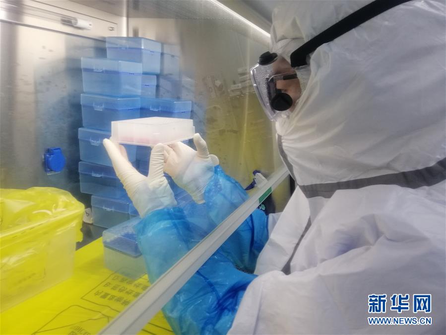 （一線抗疫群英譜&middot;圖文互動）（2）&ldquo;95后&rdquo;大學(xué)生郝鶯歌：退掉車票，她選擇直面病毒