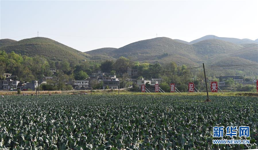 （決戰(zhàn)決勝脫貧攻堅(jiān)&middot;圖文互動(dòng)）（2）逐項(xiàng)逐戶排查補(bǔ)齊脫貧攻堅(jiān)&ldquo;短板&rdquo;&mdash;&mdash;貴州晴隆縣扶貧一線工作見聞 