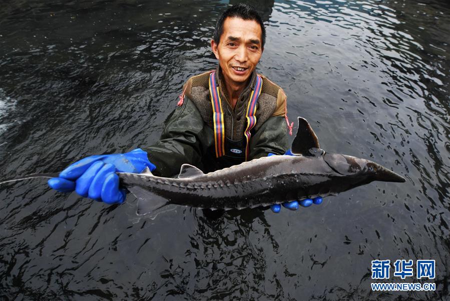 （決戰(zhàn)決勝脫貧攻堅&middot;圖文互動）（4）多重保障 不漏一人&mdash;&mdash;貴州一個脫貧&ldquo;摘帽&rdquo;縣的防貧機制探索