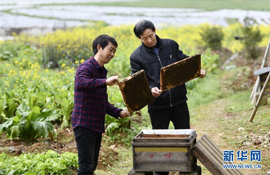 （決戰(zhàn)決勝脫貧攻堅&middot;圖文互動）（2）一位農民的產業(yè)扶貧成績單 