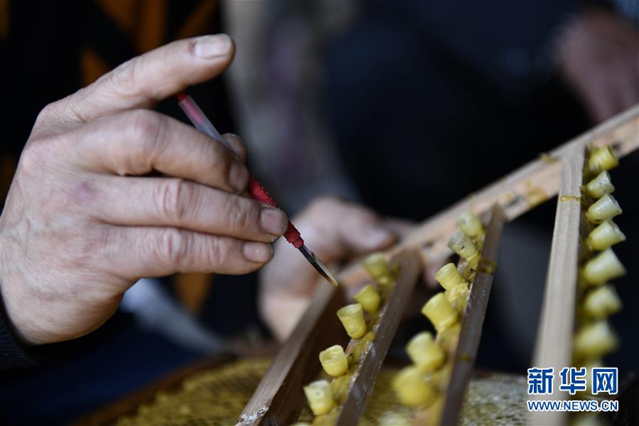 （決戰(zhàn)決勝脫貧攻堅&middot;圖文互動）（4）一位農民的產業(yè)扶貧成績單 