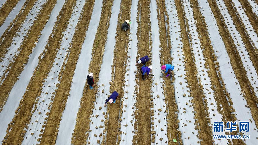 （在習近平新時代中國特色社會主義思想指引下&mdash;&mdash;新時代新作為新篇章&middot;習近平總書記關(guān)切事&middot;圖文互動）（8）啃下最后的硬骨頭&mdash;&mdash;脫貧攻堅掛牌督戰(zhàn)進行時