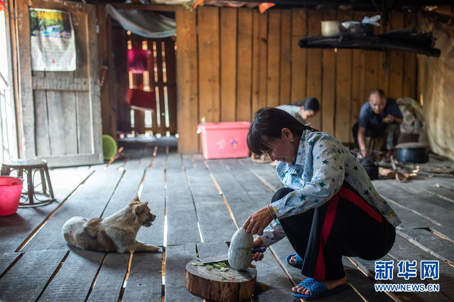 （決戰(zhàn)決勝脫貧攻堅&middot;圖文互動）（8）&ldquo;孩子再也不用學打獵了&rdquo;&mdash;&mdash;拉祜族女獵手告別狩獵