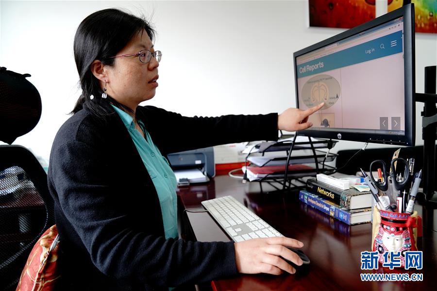 （圖文互動(dòng)）（1）攻擊行為如何被大腦控制？科學(xué)家在小鼠大腦中發(fā)現(xiàn)&ldquo;調(diào)節(jié)開關(guān)&rdquo;