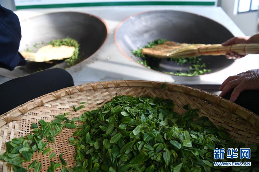 （新華全媒頭條&middot;圖文互動）（9）紅土地上的&ldquo;綠色減貧&rdquo;決戰(zhàn)&mdash;&mdash;大別山&ldquo;將軍縣&rdquo;金寨脫貧紀實