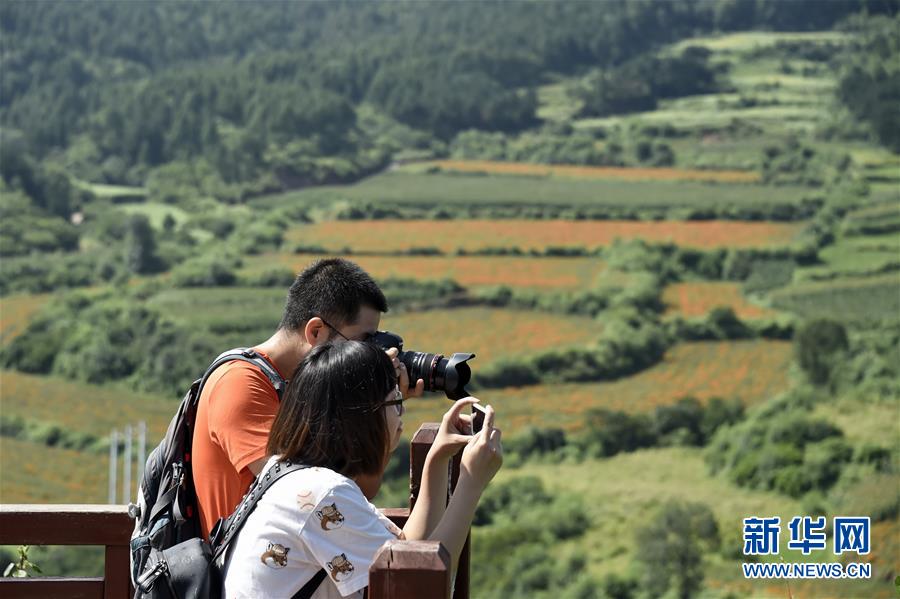 （圖文互動）（1）這座小城，鐫刻下怎樣的&ldquo;世園印記&rdquo;&mdash;&mdash;北京世園會開園一周年探訪延慶