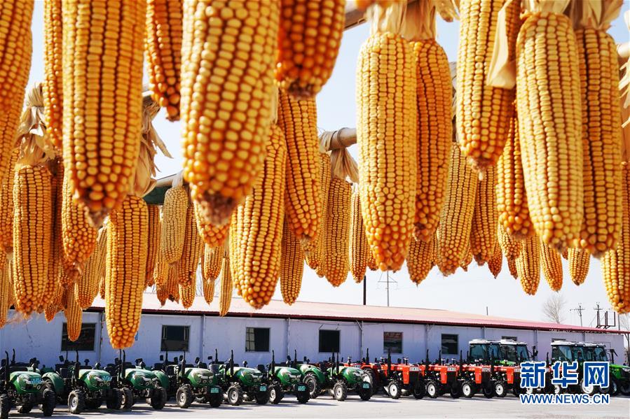 (新華全媒頭條·圖文互動(dòng))(5)讓中國(guó)飯碗端得更牢——“中華糧倉(cāng)”春耕剪影