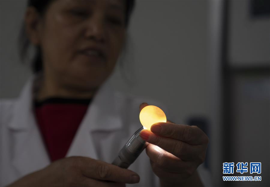 （決戰(zhàn)決勝脫貧攻堅&middot;圖文互動）（2）小鴿子帶來大希望&mdash;&mdash;河北阜平硒鴿產(chǎn)業(yè)&ldquo;飛翔&rdquo;記