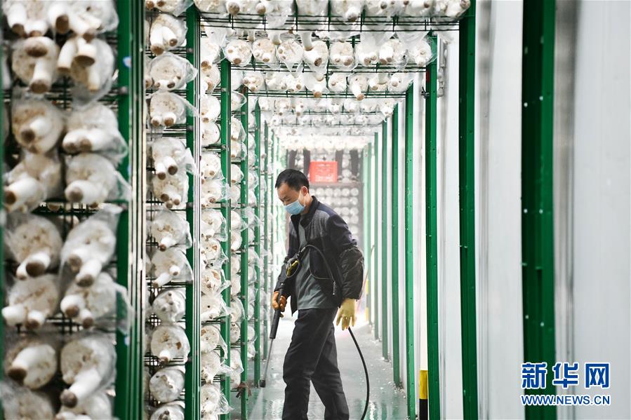 （決戰(zhàn)決勝脫貧攻堅(jiān)&middot;圖文互動(dòng)）（3）補(bǔ)短板 促就業(yè) 穩(wěn)增收&mdash;&mdash;貴州向脫貧&ldquo;硬骨頭&rdquo;發(fā)起總攻