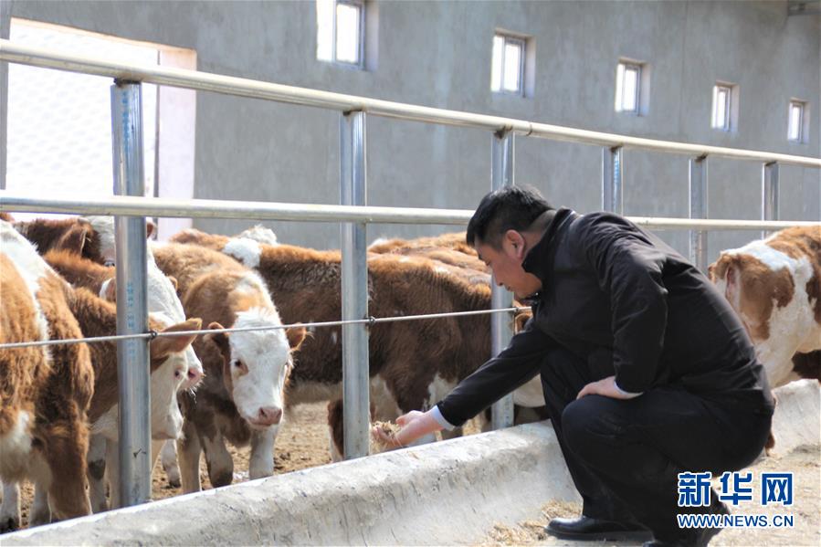 （脫貧攻堅(jiān)&middot;扶貧印記）（4）&ldquo;牛書(shū)記&rdquo;帶領(lǐng)牧民發(fā)展&ldquo;牛產(chǎn)業(yè)&rdquo;助力脫貧