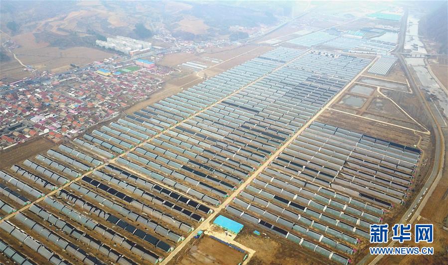 (新華全媒頭條·圖文互動)(5)且看信心如何讓黃土變成金——“環(huán)京津貧困帶”整體脫貧記