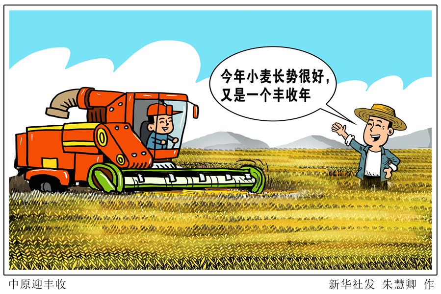 （圖表&middot;漫畫）［關(guān)注三夏］中原迎豐收