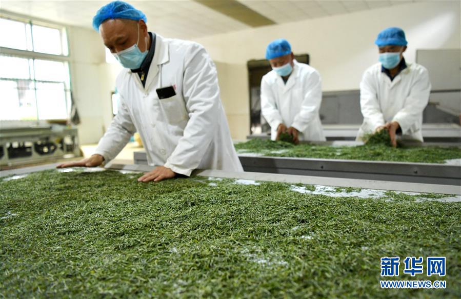 （新華全媒頭條&middot;圖文互動）（22）從人民中汲取磅礴力量&mdash;&mdash;習(xí)近平總書記同出席2020年全國兩會人大代表、政協(xié)委員共商國是紀(jì)實