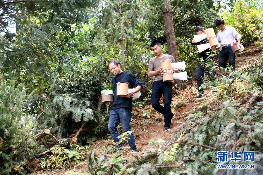 （決戰(zhàn)決勝脫貧攻堅(jiān)&middot;圖文互動(dòng)）（1）&ldquo;小蜂王&rdquo;的大夢(mèng)想