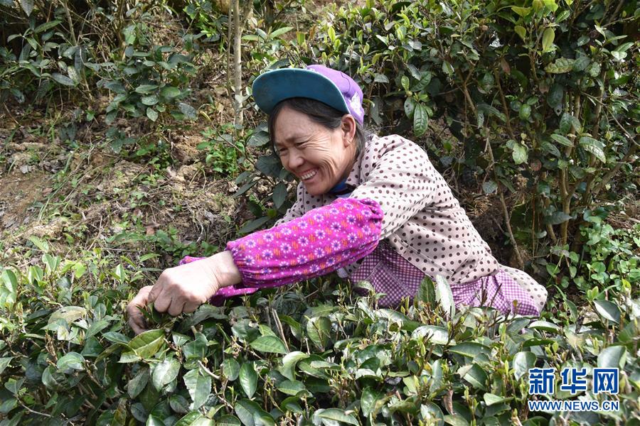 （決戰(zhàn)決勝脫貧攻堅&middot;圖文互動）（1）因地制宜的&ldquo;魅力&rdquo;&mdash;&mdash;貴州脫貧攻堅一線采訪隨筆