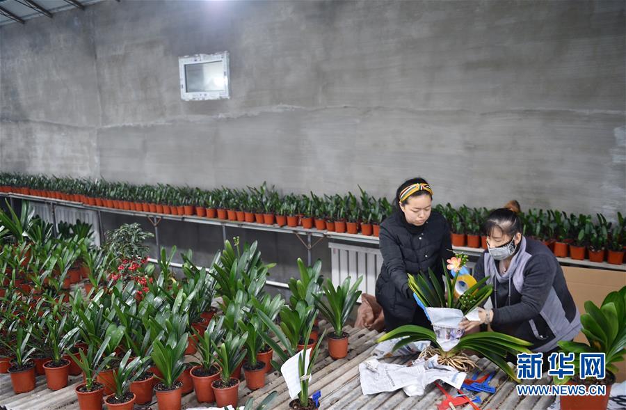 (決戰(zhàn)決勝脫貧攻堅·圖文互動)(11)長白山下唱新篇——吉林延邊州脫貧攻堅觀察