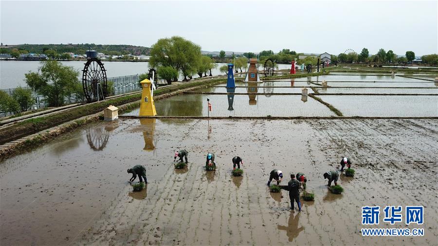 （在習近平新時代中國特色社會主義思想指引下&mdash;&mdash;新時代新作為新篇章&middot;習近平總書記關切事&middot;圖文互動）（6）讓農民挑上&ldquo;金扁擔&rdquo;&mdash;&mdash;農業(yè)現(xiàn)代化的生動實踐掃描