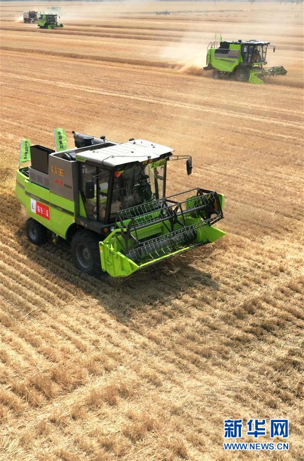 （在習近平新時代中國特色社會主義思想指引下&mdash;&mdash;新時代新作為新篇章&middot;習近平總書記關切事&middot;圖文互動）（13）讓農民挑上&ldquo;金扁擔&rdquo;&mdash;&mdash;農業(yè)現(xiàn)代化的生動實踐掃描