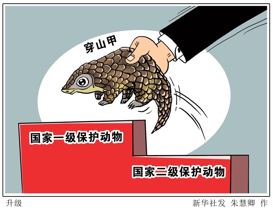 （圖表&middot;漫畫(huà)）［環(huán)境］升級(jí)