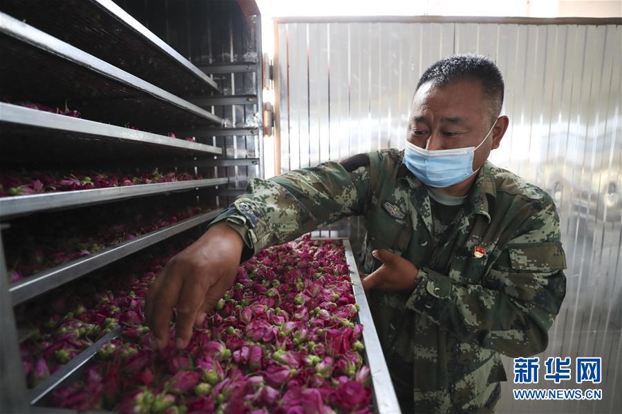 (熱點(diǎn)鮮報(bào)·走向我們的小康生活·圖文互動(dòng))(2)你沒(méi)聽(tīng)過(guò)的伊瑪堪——“北大倉(cāng)”里話小康之三